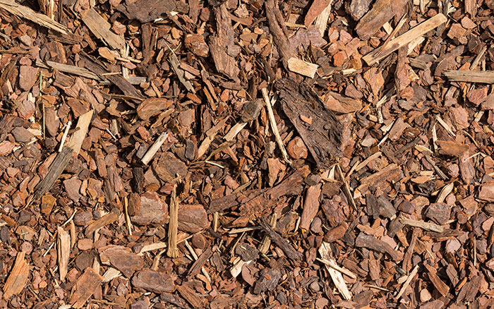 Bark Chippings